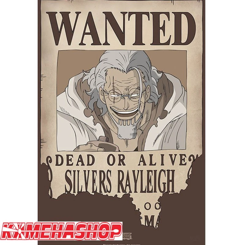 Affiche Wanted Rayleigh 1 Affiche Wanted Rayleigh