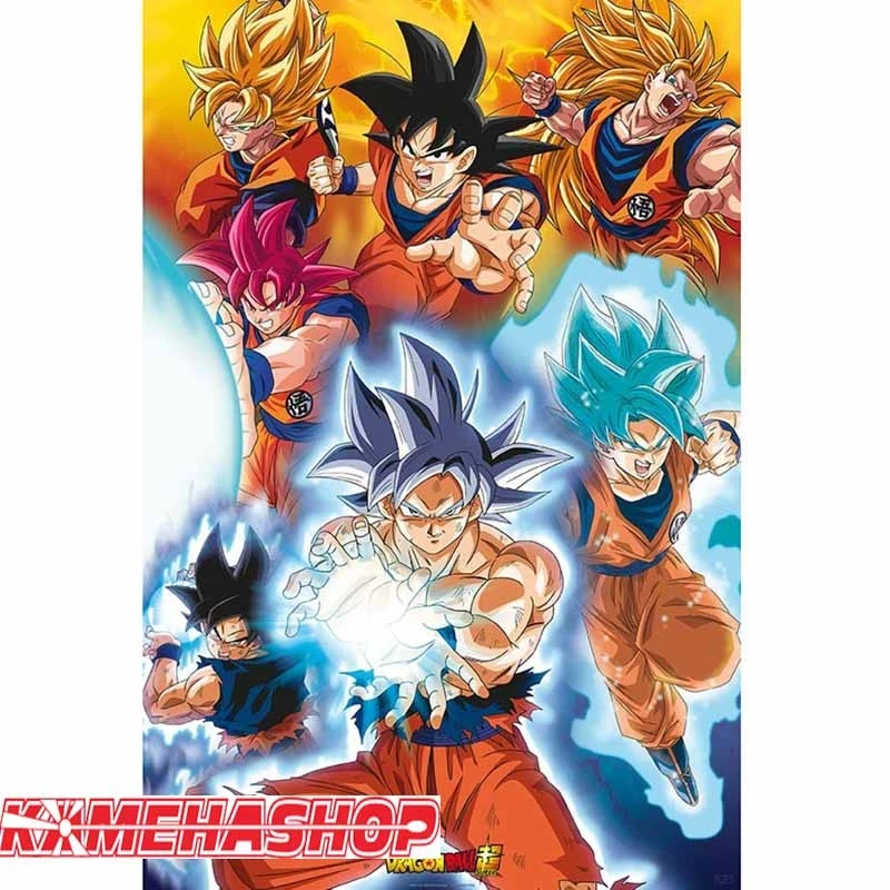 Dragon Ball Z - Poster Goku Transformations - Grand Format 1 Dragon Ball Z - Poster Goku Transformations - Grand Format