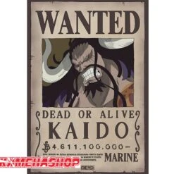 One Piece - Affiche Wanted Kaido