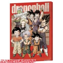 Toile Dragon Ball Z