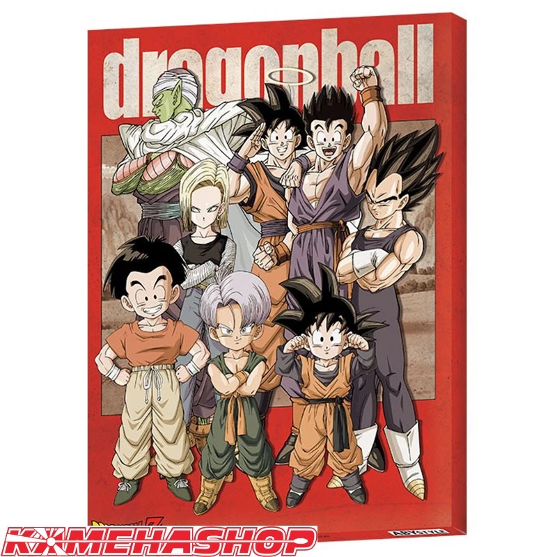 Toile Dragon Ball Z 1 Toile Dragon Ball Z